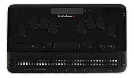 BrailleSense 6, beležnica